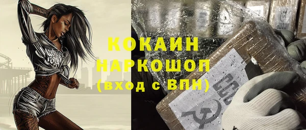 ешки Арсеньев