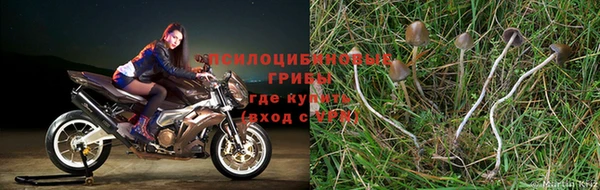 синтетический гашиш Пикалёво