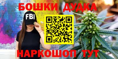 гидропоника Можга