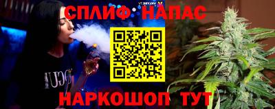 гидропоника Можга