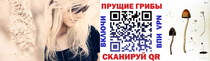 Псилоцибиновые грибы мицелий  площадка какой сайт  Унеча 