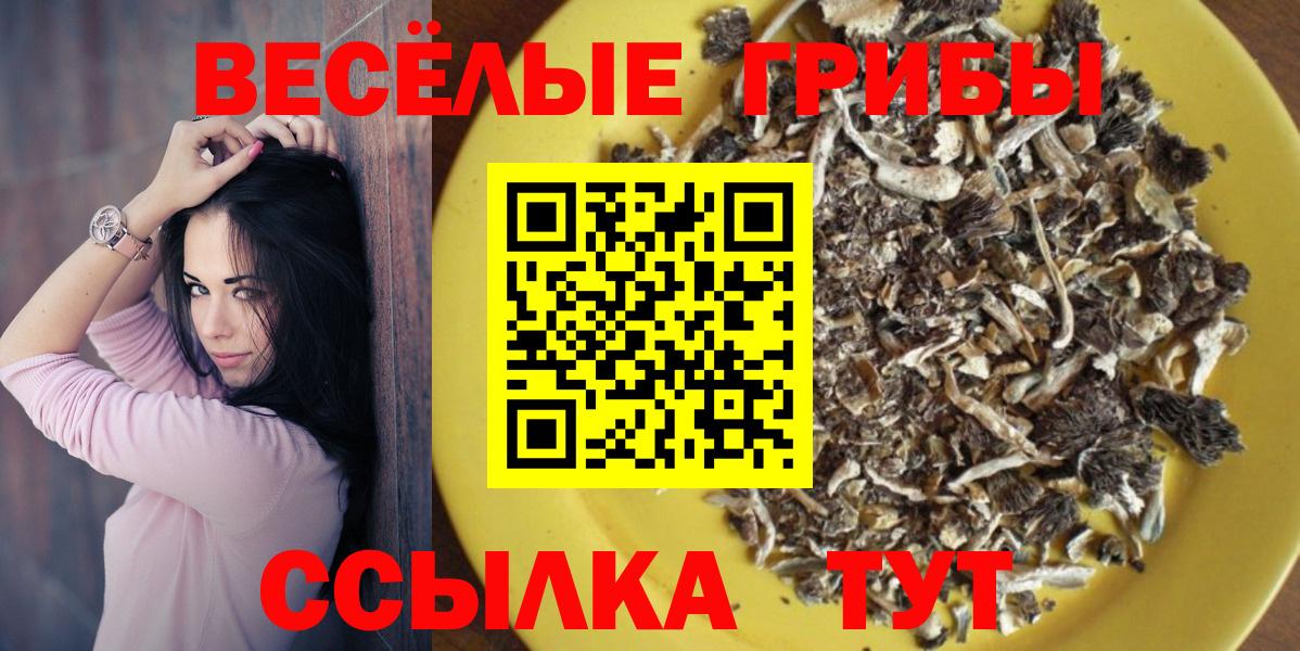Галлюциногенные грибы мицелий  Галлюциногенные грибы MAGIC MUSHROOMS  Вход с VPN  Унеча 